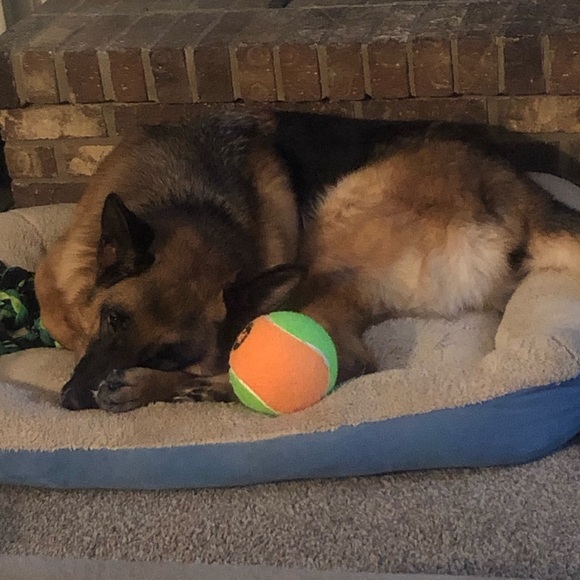 Meet your Posher, Debbie - Picture 2 of 8